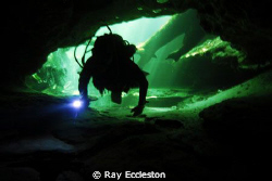 Silhouette of Dive buddy, taken at Blue Springs State Par... by Ray Eccleston 